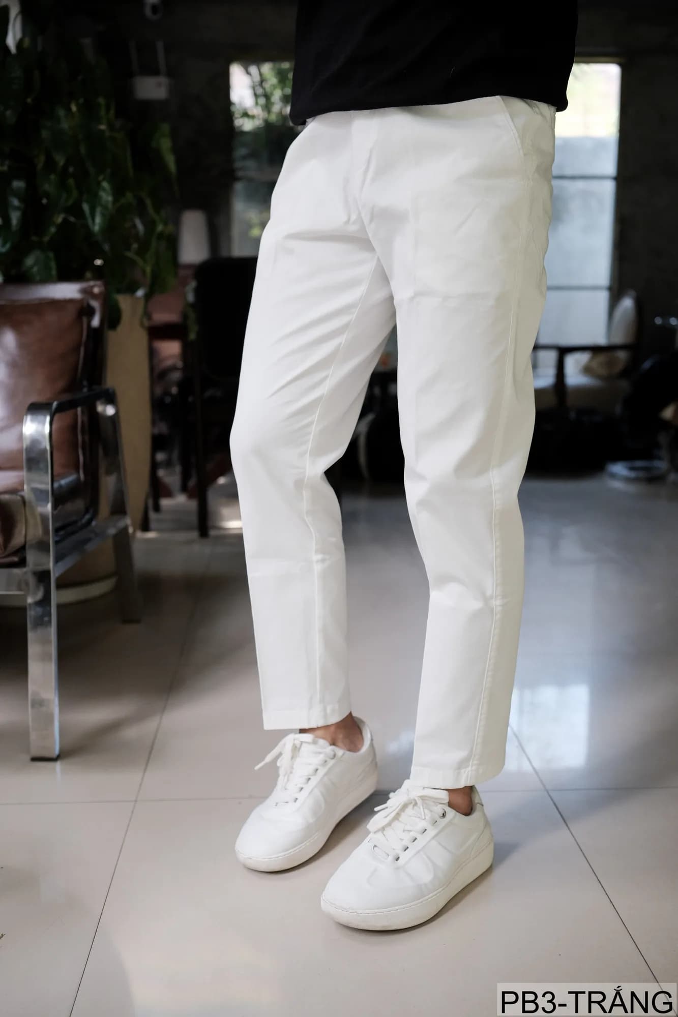 PB3 - Quần ống đứng nam màu trơn, chất cotton co giãn nhẹ, dáng regular fit, phong cách streetwear - ảnh 4