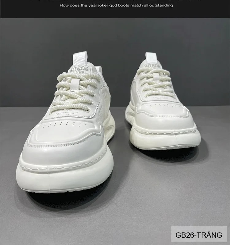 GB26 - Giày thể thao nam da trắng đế dày tăng chiều cao, thoáng khí kiểu dáng châu Âu - ảnh 8